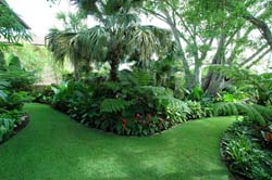Atterbury_Beach House 9